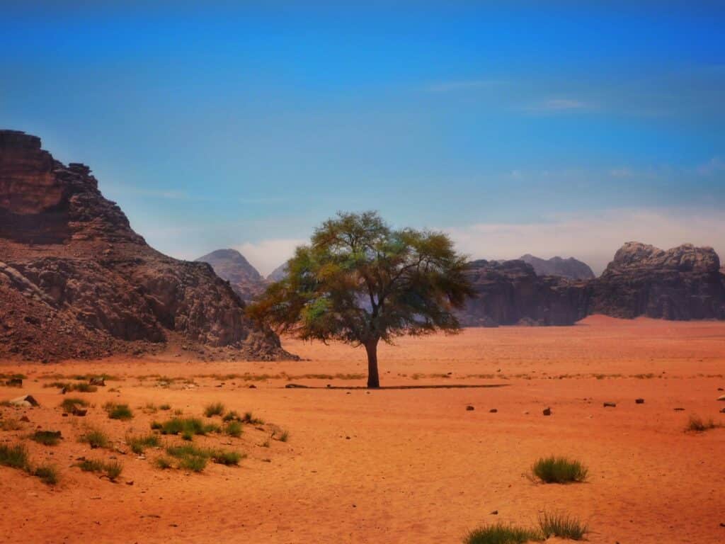 Dreamstime M 197771599 Discover Jordan'S Beauty With Wepetra: Customized Tour Packages